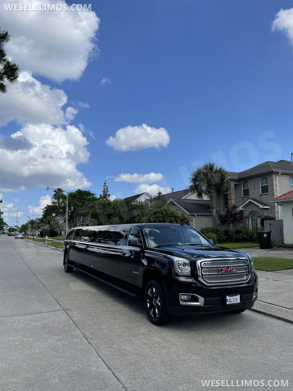 Limousine for Sale in Kenner, LA - Photo 3