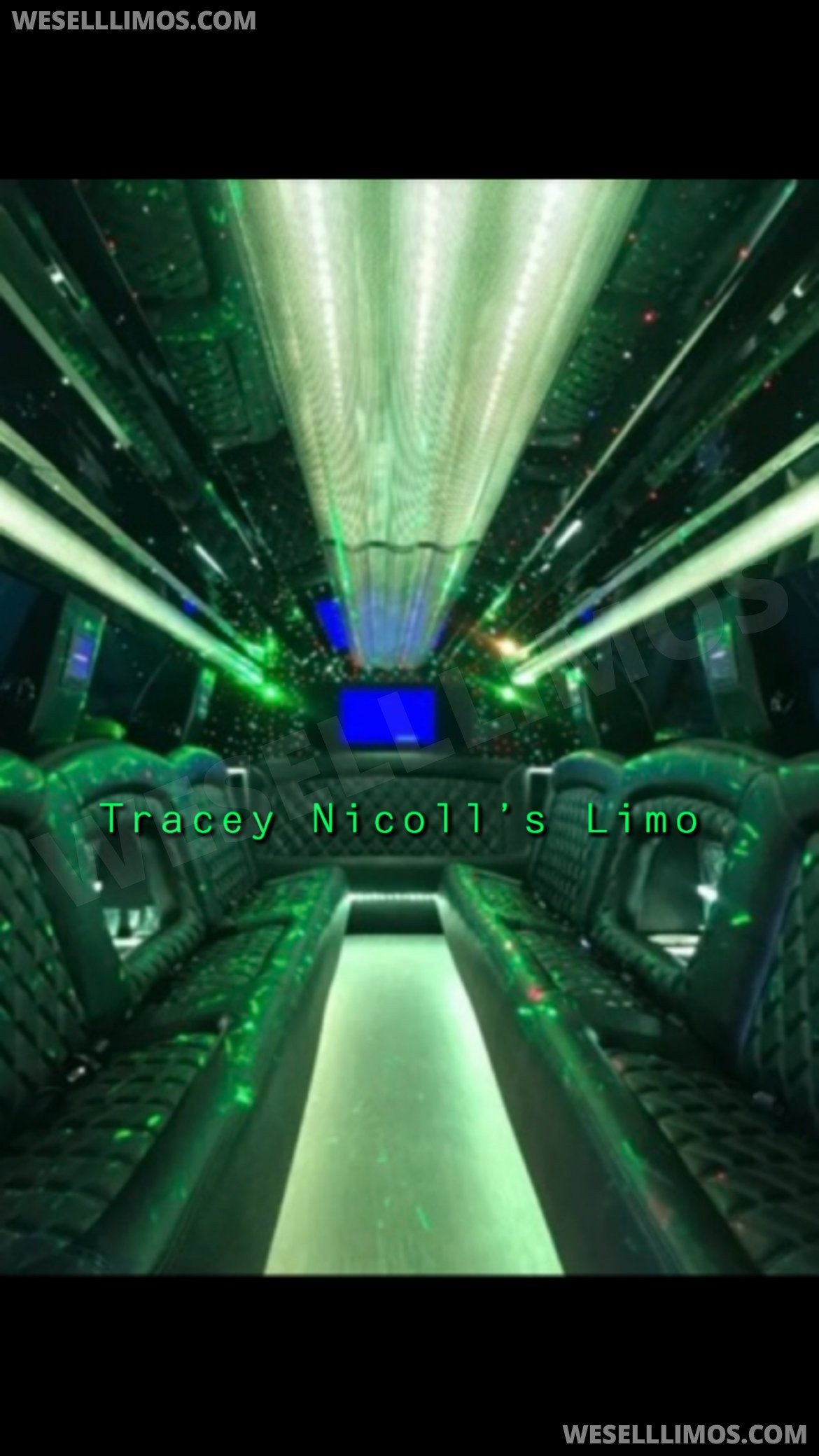 Limousine for Sale in Kenner, LA - Photo 21