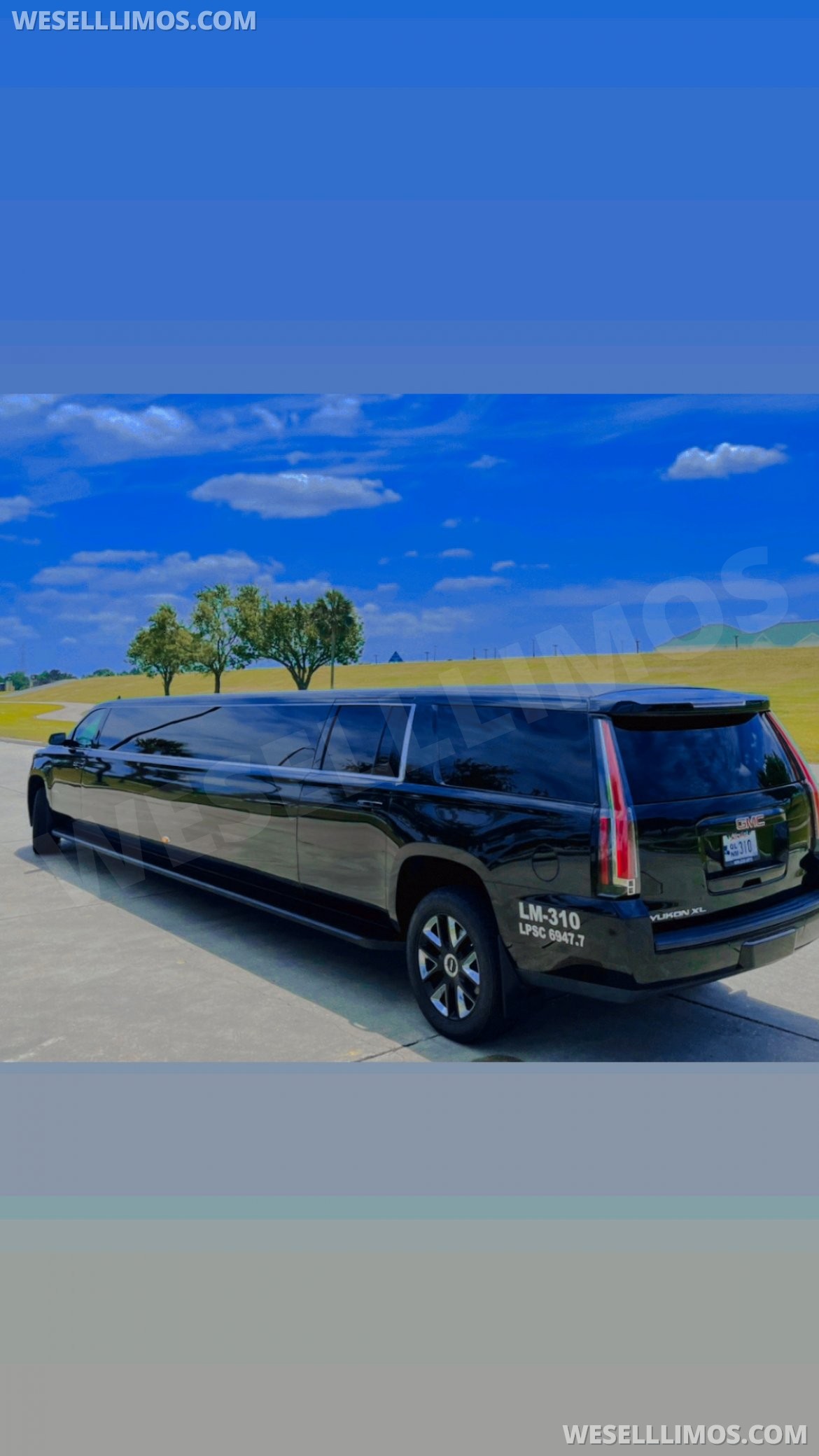 Limousine for Sale in Kenner, LA - Photo 11