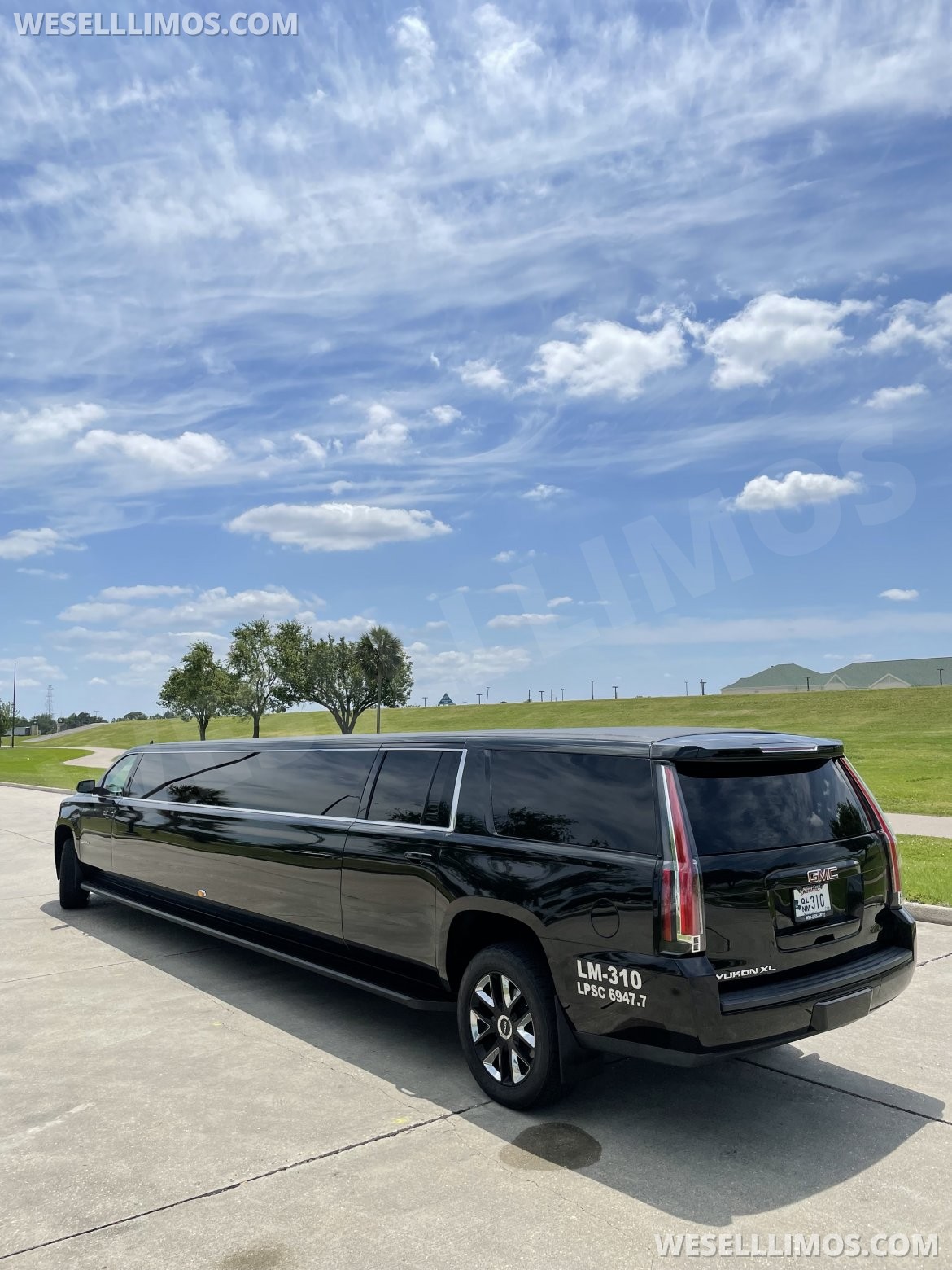 Limousine for Sale in Kenner, LA - Photo 22