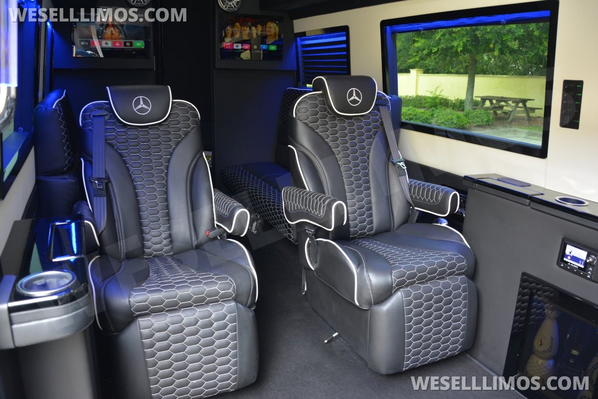 Exotic for Sale in Ormond Beach, FL - Photo 13