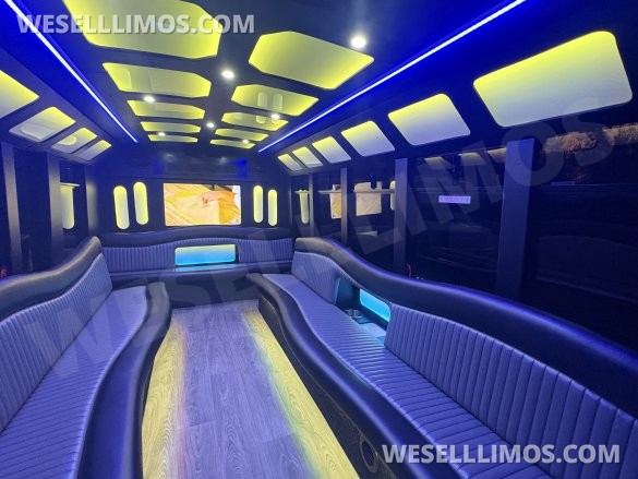 2019 Ford E-450 Limo Bus for Sale in FRASER, MI - Main Photo