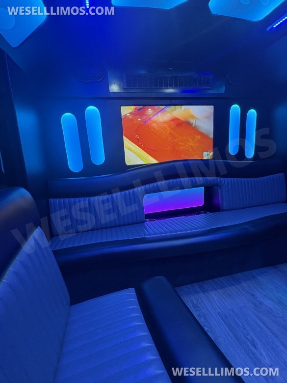 2019 Ford E-450 Limo Bus for Sale in FRASER, MI - Photo 3
