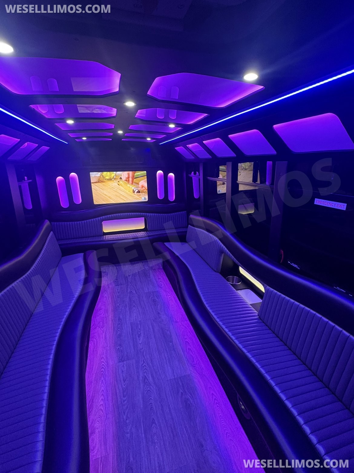 Limo Bus for Sale in FRASER, MI - Photo 6