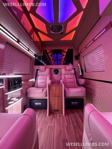 2026 LimoLand Mercedes-Benz Sprinter Sprinter - Sprinter for Sale in Springfield, MO - Photo 5