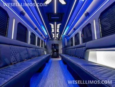 LGE Coachworks High Level Limo Bus - New LED lighting package - Limo Bus for Sale in North East, PA - Photo 12