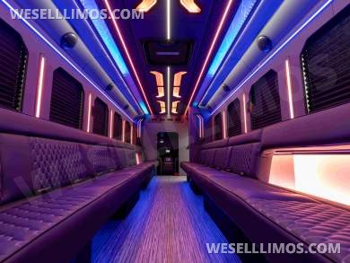LGE Coachworks High Level Limo Bus - New LED lighting package - Limo Bus for Sale in North East, PA - Photo 14