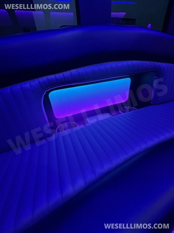 2017 Ford F-450 Limo Bus for Sale in Fraser, MI - Photo 2