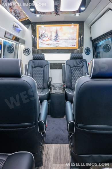 2023 Ultimate Toys Mercedes-Benz 3500XD Limousine - Limousine for Sale in Phoenix, AZ - Photo 9