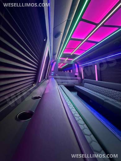 2026 LGE Coachworks Ford E450 Limo Bus/Party 25 passengers W/ Air Ride - Limo Bus for Sale in North East, PA - Photo 8