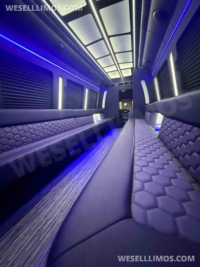 2026 LGE Coachworks Ford E450 Limo Bus/Party 25 passengers W/ Air Ride - Limo Bus for Sale in North East, PA - Photo 11