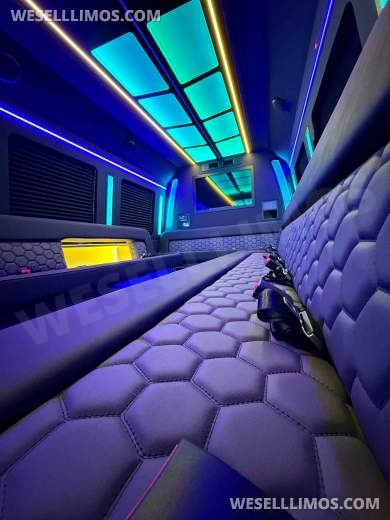 2026 Ford E450 Limo Bus Limo Bus for Sale in North East, PA