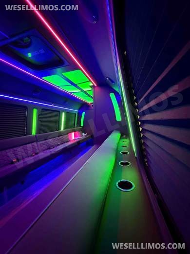 2026 LGE Coachworks Ford E450 Limo Bus/Party 25 passengers W/ Air Ride - Limo Bus for Sale in North East, PA - Photo 2