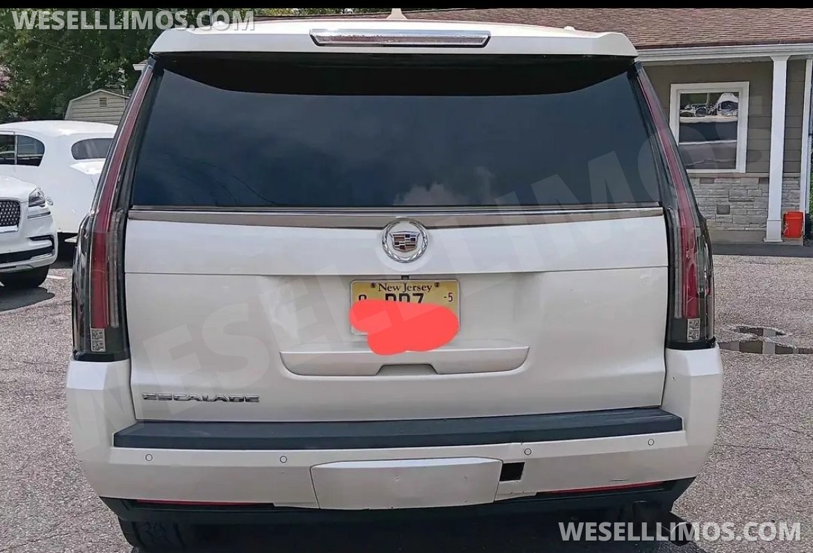 SUV Stretch for Sale in Englishtown, NJ - Photo 3