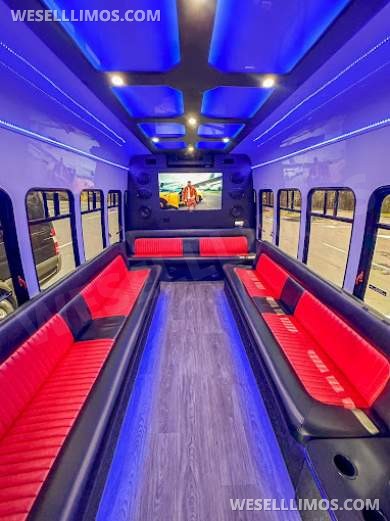 2011 Ford E450 Limo Bus - Limo Bus for Sale in troy, MI - Photo 3