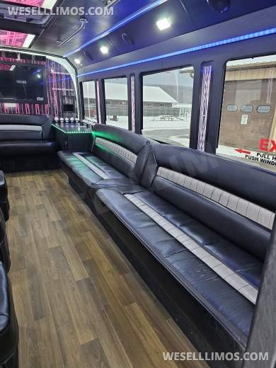 2017 LGE Coachbuilders Ford E450 Limo Bus - Limo Bus for Sale in Hornell, NY - Photo 3