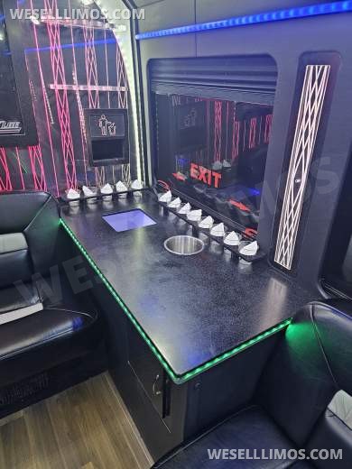 2017 LGE Coachbuilders Ford E450 Limo Bus - Limo Bus for Sale in Hornell, NY - Photo 6