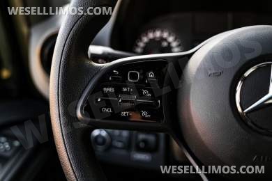 2020 LCW Mercedes-Benz LCW Super Family Traveler 12 Passenger Sprinter Sprinter - Sprinter for Sale in Dallas, TX - Photo 9