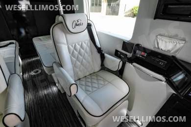 2020 LCW Mercedes-Benz LCW Super Family Traveler 12 Passenger Sprinter Sprinter - Sprinter for Sale in Dallas, TX - Photo 12