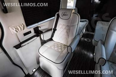 2020 LCW Mercedes-Benz LCW Super Family Traveler 12 Passenger Sprinter Sprinter - Sprinter for Sale in Dallas, TX - Photo 13