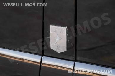2020 LCW Mercedes-Benz LCW Super Family Traveler 12 Passenger Sprinter Sprinter - Sprinter for Sale in Dallas, TX - Photo 30