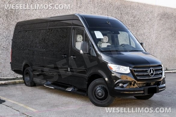 2020 Mercedes-Benz LCW Super Family Traveler 12 Passenger Sprinter Sprinter for Sale in Dallas, TX - Main Photo