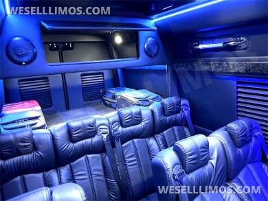 2024 15 Passenger Executive Shuttle Road Liner 747 Auto Elite Mercedes-Benz Sprinter - Sprinter for Sale in Elkhart, IN - Photo 16