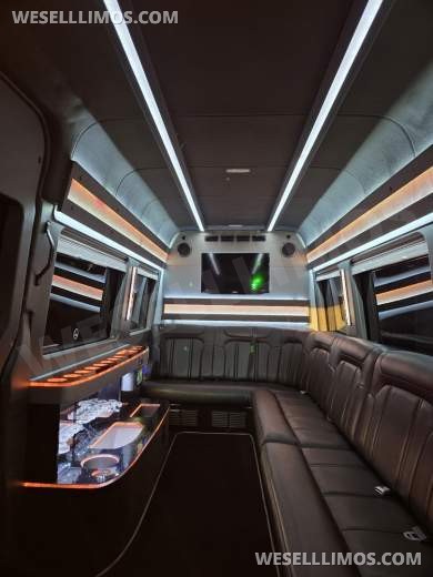 2013 Royale Mercedes-Benz Sprinter Limousine 10 Passenger - Sprinter for Sale in Erie, PA - Photo 11