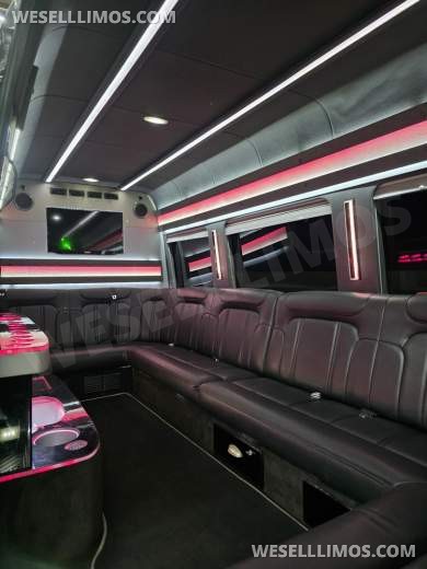 2013 Royale Mercedes-Benz Sprinter Limousine 10 Passenger - Sprinter for Sale in Erie, PA - Photo 17