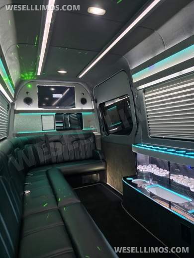2013 Royale Mercedes-Benz Sprinter Limousine 10 Passenger - Sprinter for Sale in Erie, PA - Photo 20
