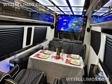 2024 Road Jet Limousine 9 Passenger with Removable Bathroom Auto Elite Mercedes-Benz Sprinter - Sprinter for Sale in Elkhart, IN - Photo 58
