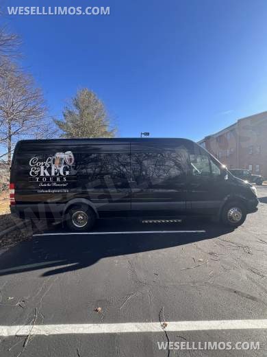2016 Lake View Custom Coach, NJ Mercedes-Benz Sprinter 3500 Limo Bus - Limo Bus for Sale in Great Falls, VA - Photo 8