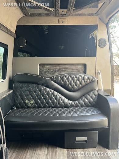 2016 Lake View Custom Coach, NJ Mercedes-Benz Sprinter 3500 Limo Bus - Limo Bus for Sale in Great Falls, VA - Photo 25