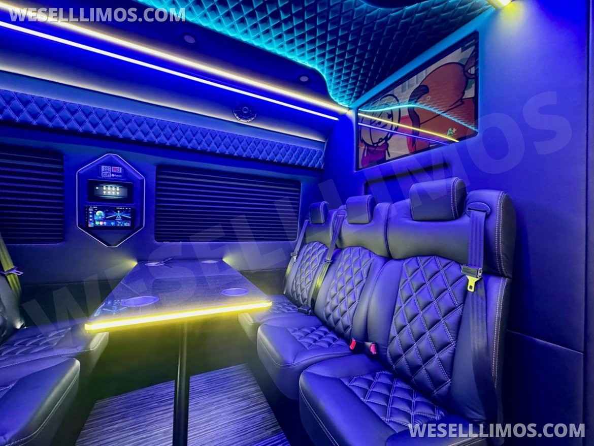 Executive Shuttle for Sale in Erie, PA - Photo 5