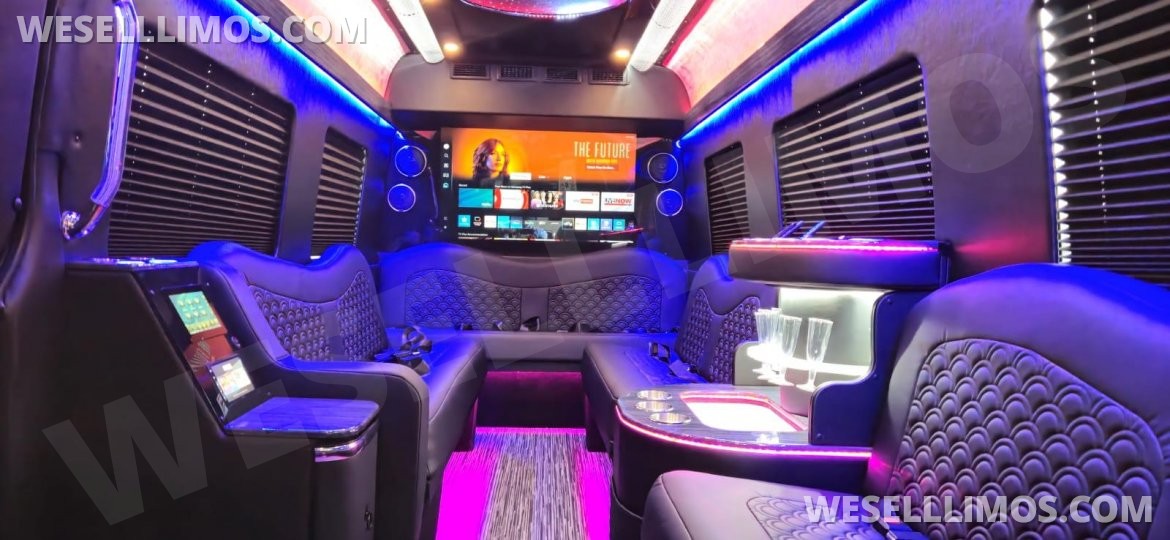 Limousine for Sale in Denver, CO - Photo 6