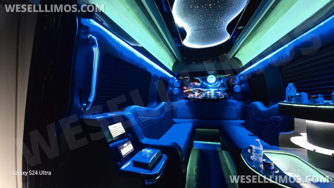 Limousine for Sale in Denver, CO - Photo 7