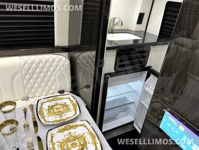 2026 Eco Revolution Limousine AMG Trim Auto Elite Mercedes-Benz Sprinter - Sprinter for Sale in Elkhart, IN - Photo 7