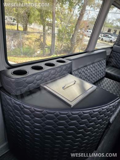 2013 Mercedes-Benz Sprinter Limo Sprinter - Sprinter for Sale in Tampa, FL - Photo 13