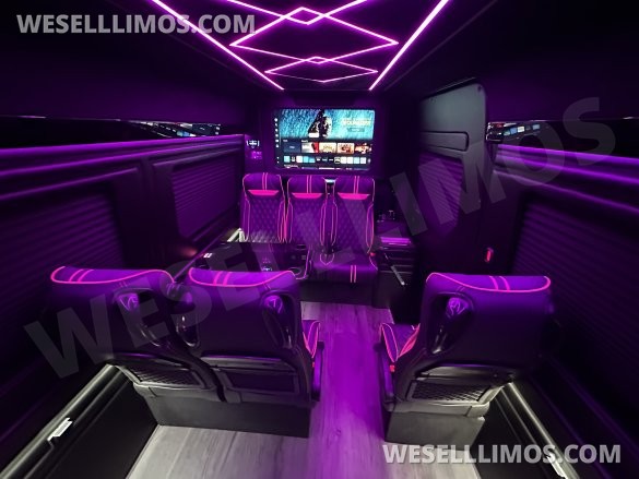 2025 Mercedes-Benz VIP Luxury Shuttle Executive Shuttle for Sale in Atlanta, GA - Photo 3