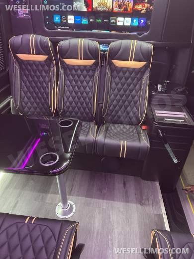 2025 Mercedes-Benz VIP Luxury Shuttle Executive Shuttle for Sale in Atlanta, GA