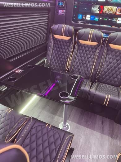 2025 VIP Luxury Shuttle - Your Clients Deserve The Best - Financing Available - Executive Shuttle for Sale in Atlanta, GA - Photo 17