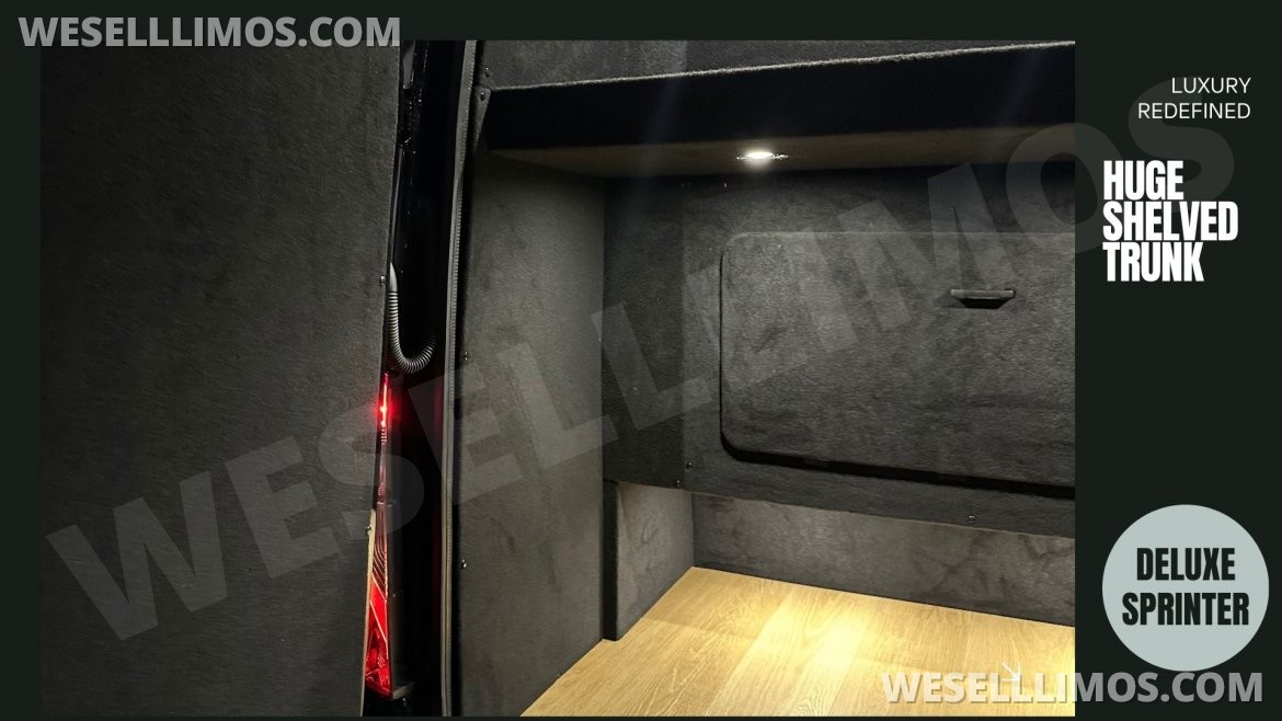 Executive Shuttle for Sale in Atlanta, GA - Photo 30