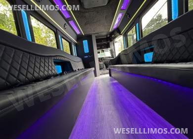 2020 Executive Chevrolet E455 Limo Bus - Limo Bus for Sale in Los Angeles, CA - Photo 10