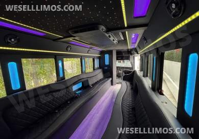 2020 Executive Chevrolet E455 Limo Bus - Limo Bus for Sale in Los Angeles, CA - Photo 12
