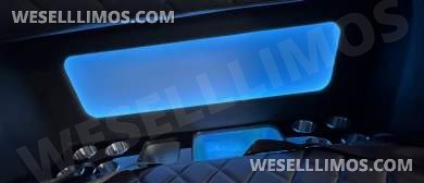 2020 Executive Chevrolet E455 Limo Bus - Limo Bus for Sale in Los Angeles, CA - Photo 16