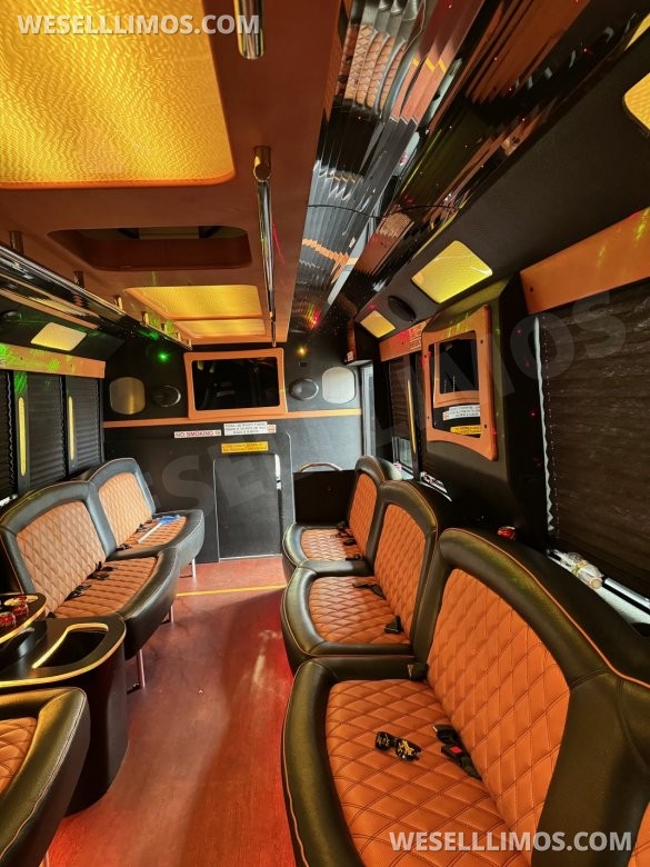 2016 Ford F550 Limo Bus for Sale in Houston, TX - Photo 3