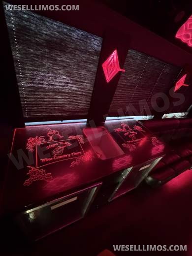 2015 CT Coachworks Freightliner XCR Chassis 45' Limo Bus Motorcoach - Motorcoach for Sale in Anaheim, CA - Photo 14