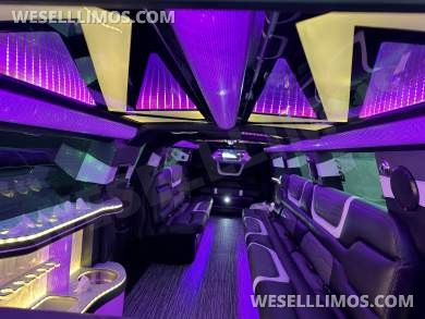 2023 LimosbyMoonlight  Cadillac Escalade SUV Stretch - SUV Stretch for Sale in Sun valley, CA - Photo 15