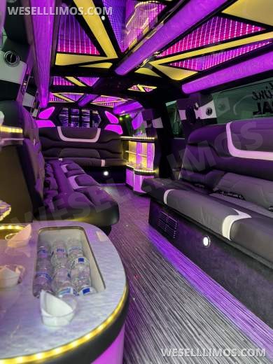 2023 LimosbyMoonlight  Cadillac Escalade SUV Stretch - SUV Stretch for Sale in Sun valley, CA - Photo 22