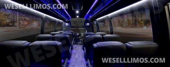 2019 Ford E350 Executive Shuttle for Sale in Washington, PA - Photo 2